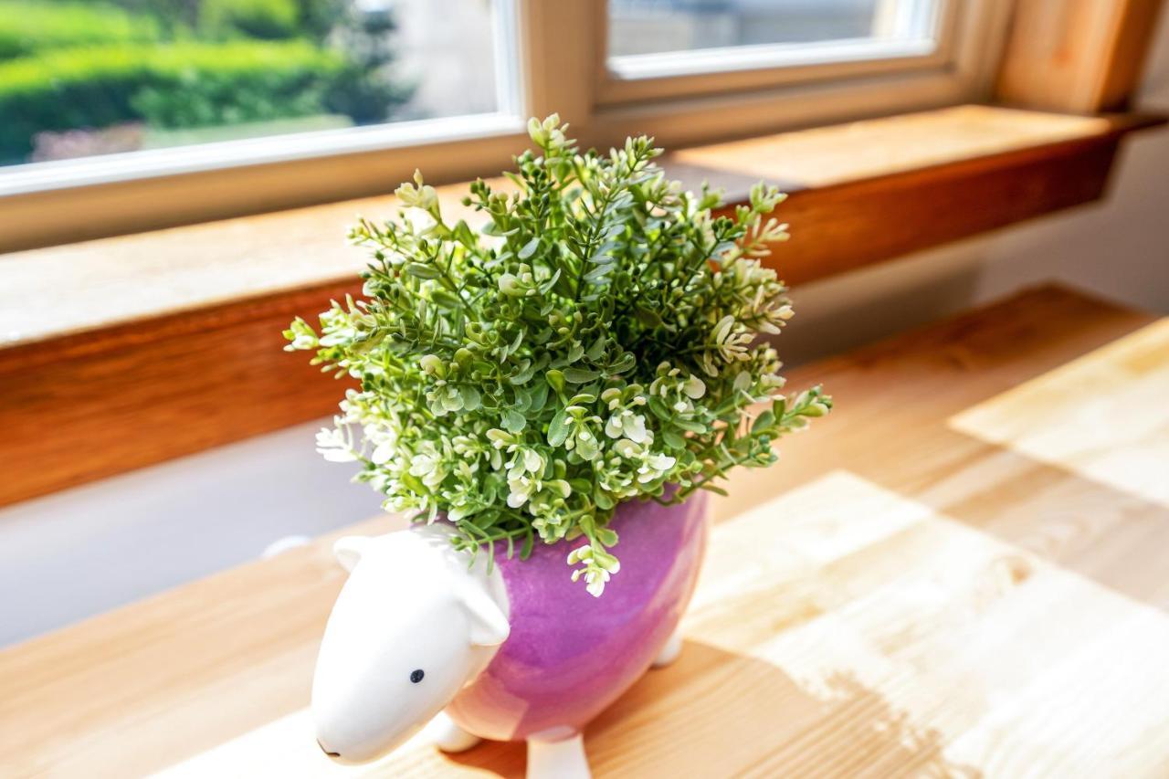 Cozy With Character Cheerful Home With Garden At Leith Links Park เอดินบะระ ภายนอก รูปภาพ